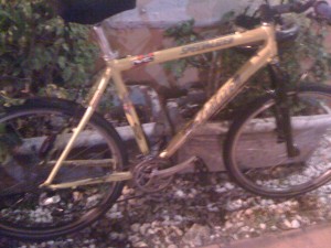 My Mountain bike