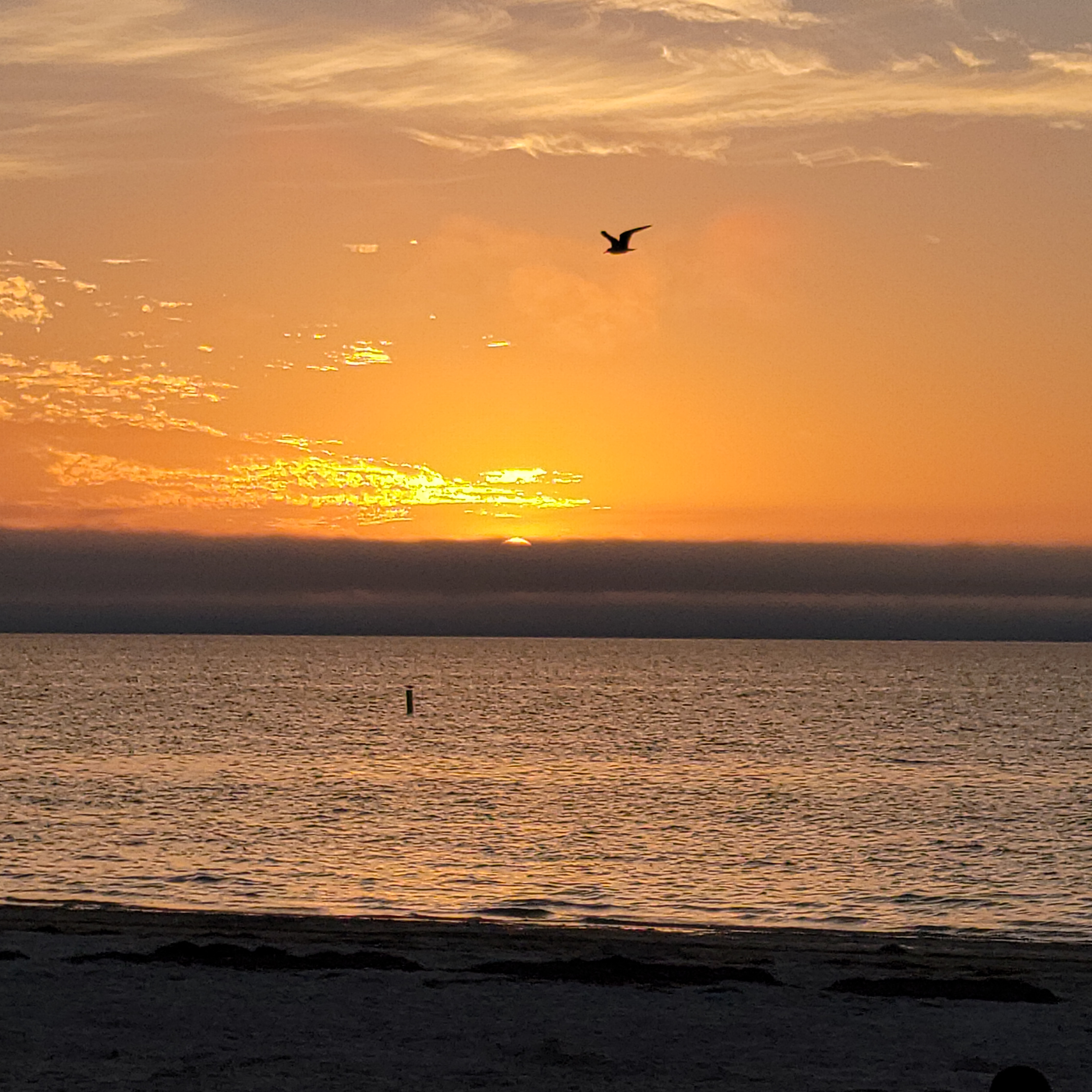 The Sunset in Tarpon Springs Florida